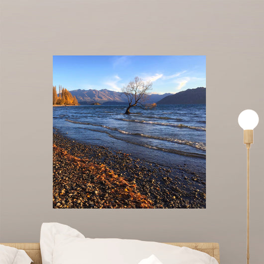lonely tree Wall Mural