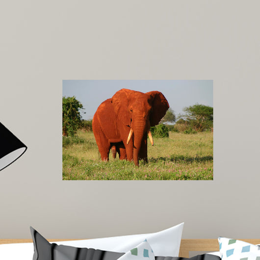 Red Elephant Wall Mural