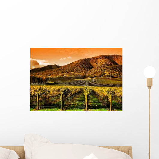 Rows Grape Vines Vineyard Wall Decal
