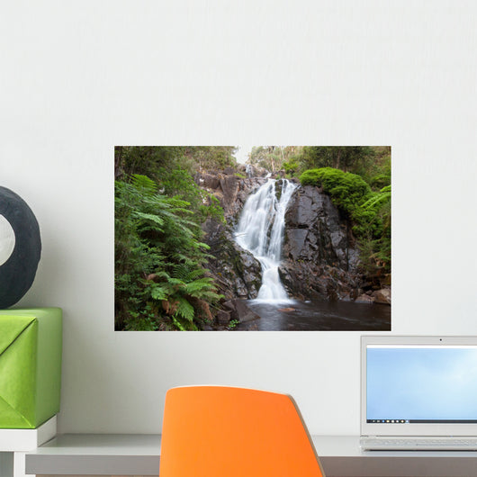 Steavenson's Falls Wall Mural