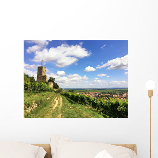 Burg im Weinanbaugebiet Wall Mural
