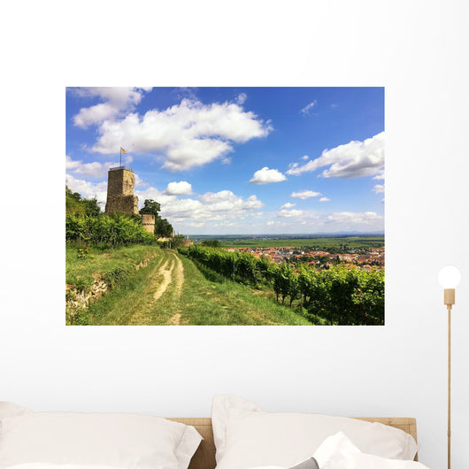 Burg im Weinanbaugebiet Wall Mural