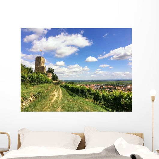 Burg im Weinanbaugebiet Wall Mural