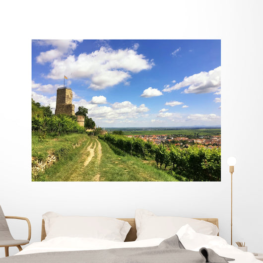 Burg im Weinanbaugebiet Wall Mural