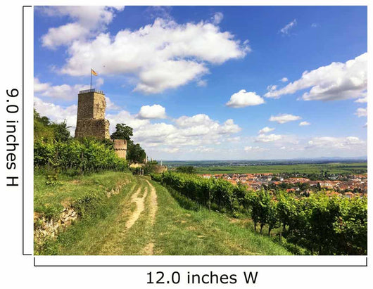 Burg im Weinanbaugebiet Wall Mural