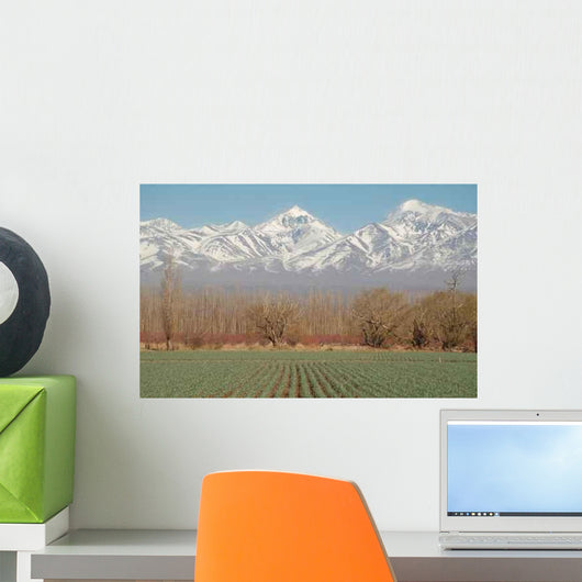 Gr N Weiss Wall Decal