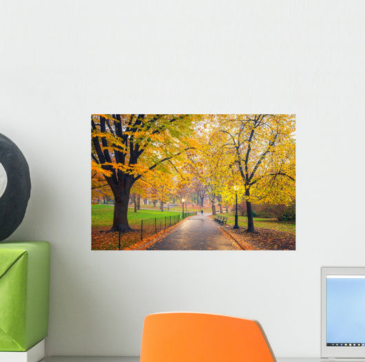 Central park at foggy morning, New York City, USA Wall Mural