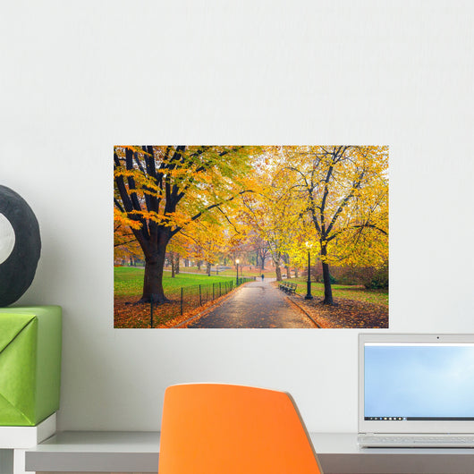 Central park at foggy morning, New York City, USA Wall Mural