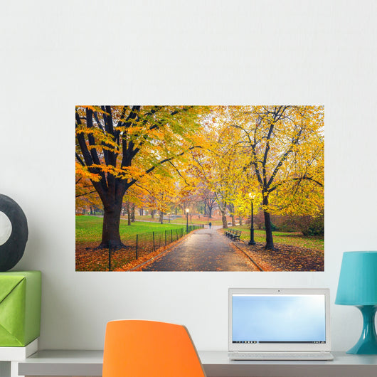 Central park at foggy morning, New York City, USA Wall Mural