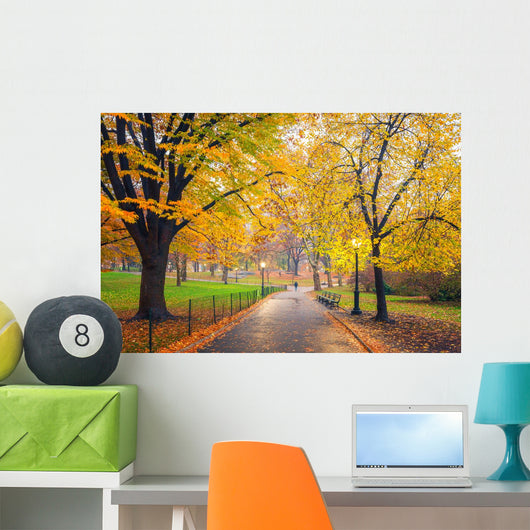 Central park at foggy morning, New York City, USA Wall Mural