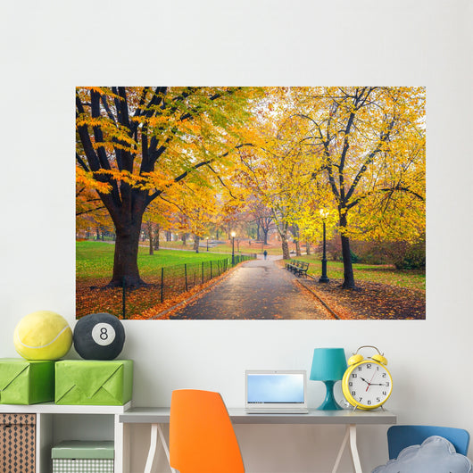Central park at foggy morning, New York City, USA Wall Mural