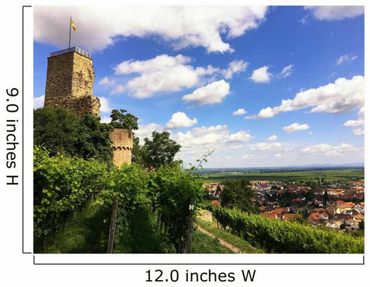 Burgruine und Weinfelder Wall Mural