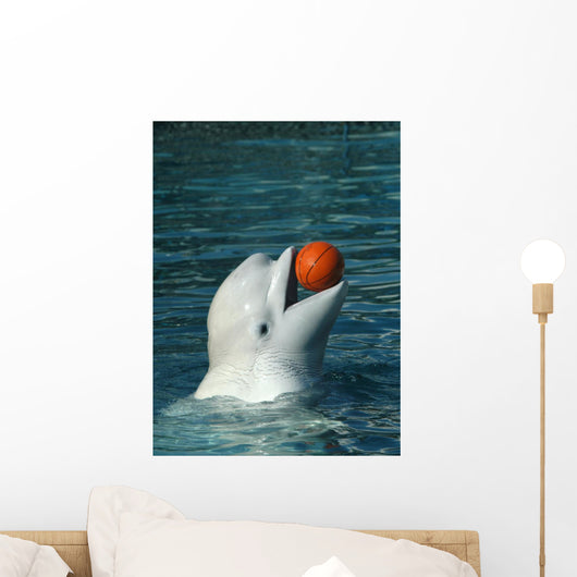 White Whale Playing Basketball Wall Mural