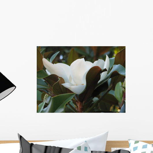 Magnolia Wall Mural