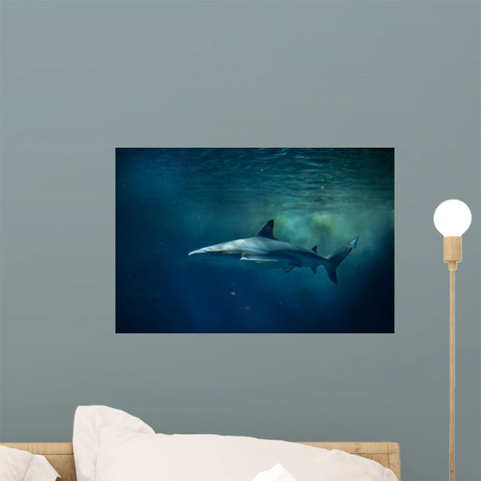 Blacktip Reef Shark Carcharhinus Wall Decal Design 1