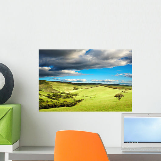 New Zealand landscape Wall Mural