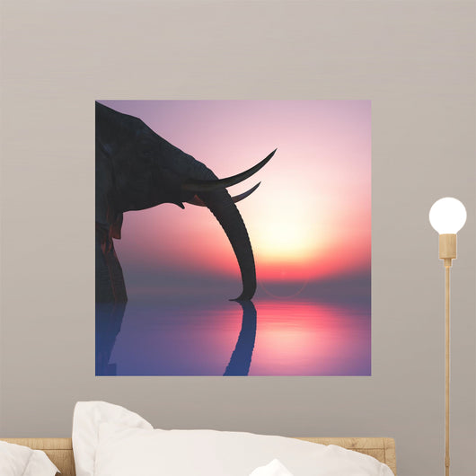 elephant and sunset Wall Mural