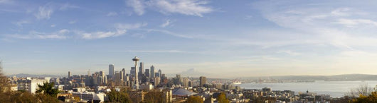 Seattle Panoramic Wall Mural