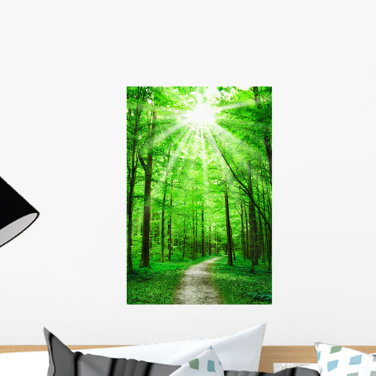 Nature Path in Forest With Sunshine Wall Mural