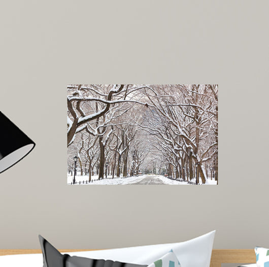 Central Park Walk Wall Mural