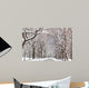 Central Park Walk Wall Mural
