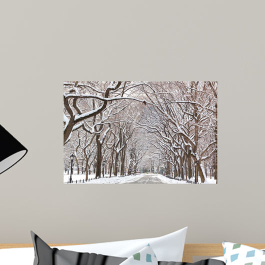 Central Park Walk Wall Mural