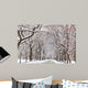 Central Park Walk Wall Mural