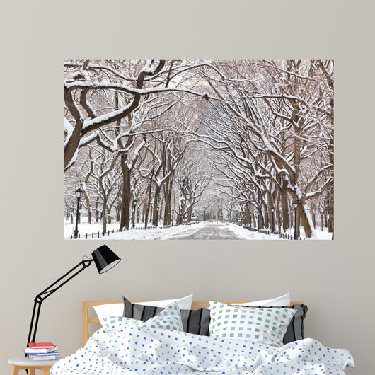 Central Park Walk Wall Mural