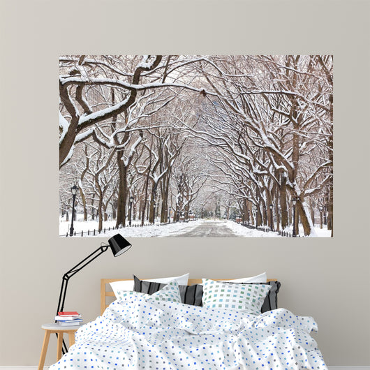 Central Park Walk Wall Mural