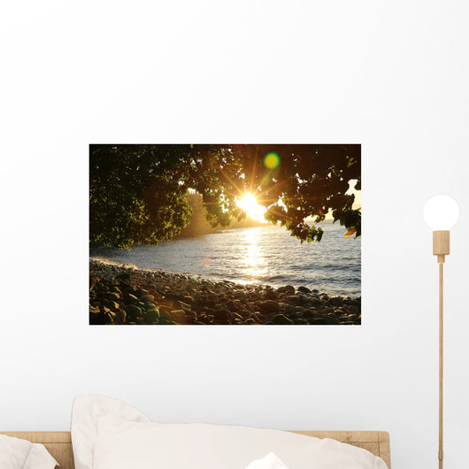 Hidden Sunset Wall Mural