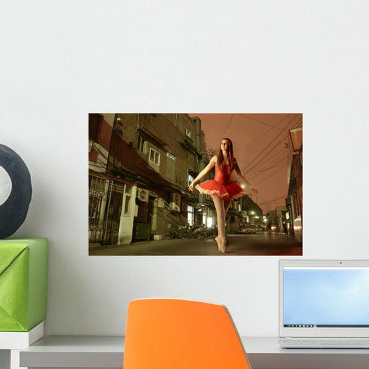 ballet Wall Mural