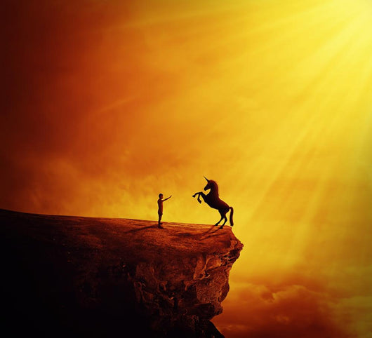 How to Tame Unicorn Wall Decal Design 1