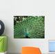 Beautiful Peacock Wall Mural