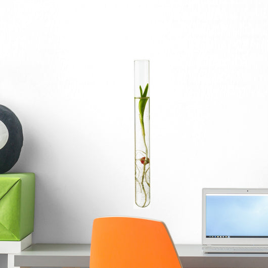Corn Seedling Test Tube Wall Decal Design 3