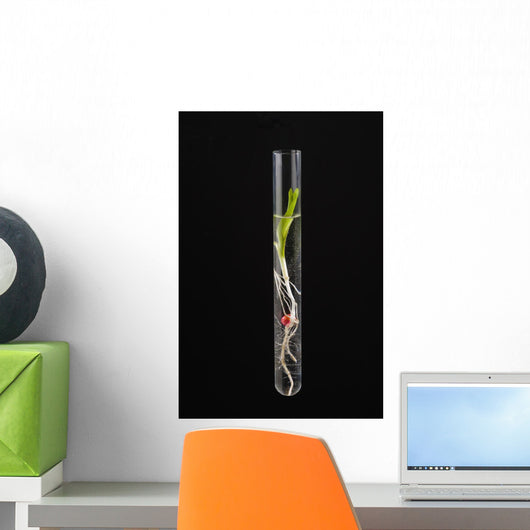 Corn Seedling Test Tube Wall Decal Design 2