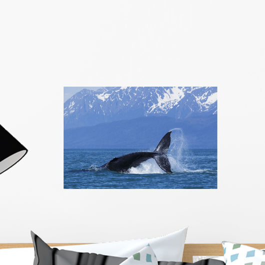 Humpback Whale Calf Frolics Wall Decal