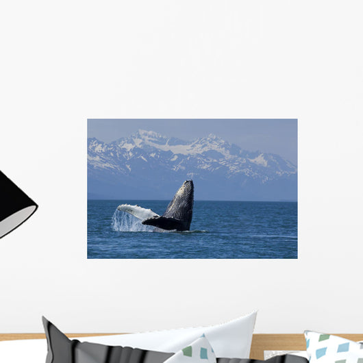 Humpback Whale Calf Breaching Wall Decal