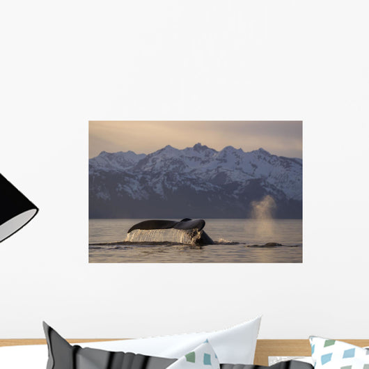 Humpback Whale Lifting Its Wall Decal Design 3