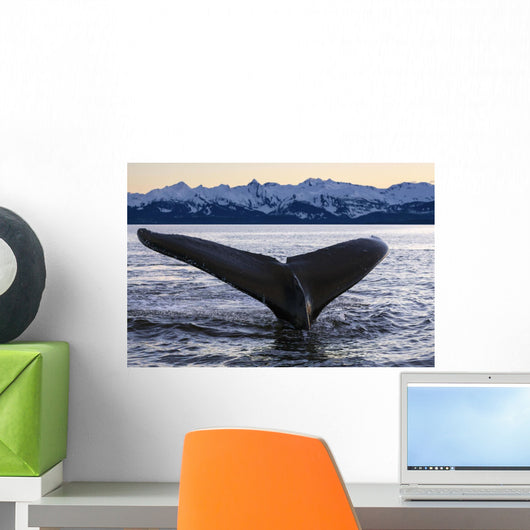 Humpback Whale Lifting Its Wall Decal Design 2