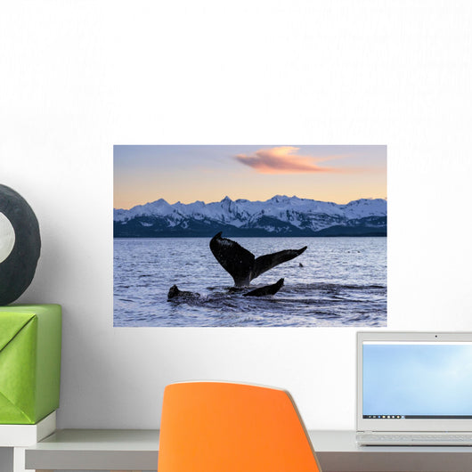 Pair Humpback Whale Tails Wall Decal Design 2