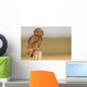 Short Eared Owl Sitting Wall Decal