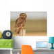 Short Eared Owl Sitting Wall Decal