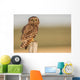 Short Eared Owl Sitting Wall Decal