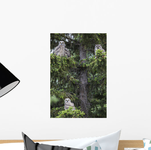 Family Great Horned Owls Wall Decal Design 2