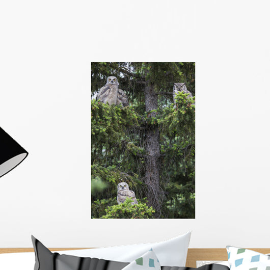 Family Great Horned Owls Wall Decal Design 2