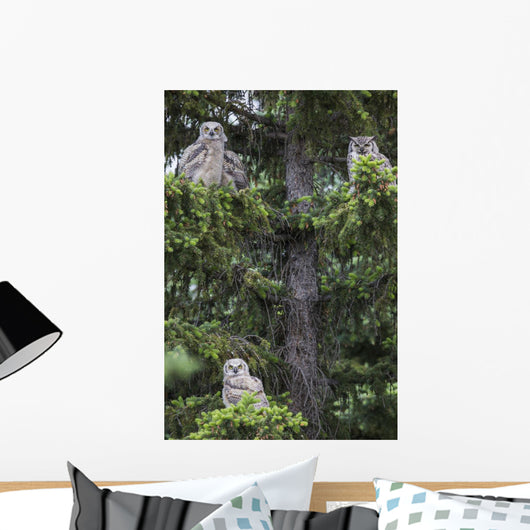 Family Great Horned Owls Wall Decal Design 2