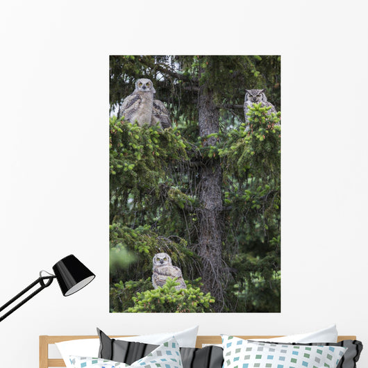 Family Great Horned Owls Wall Decal Design 2
