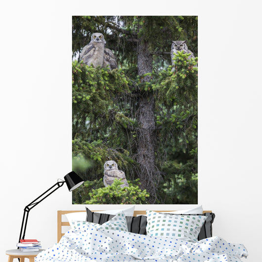 Family Great Horned Owls Wall Decal Design 2