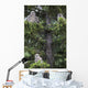 Family Great Horned Owls Wall Decal Design 2