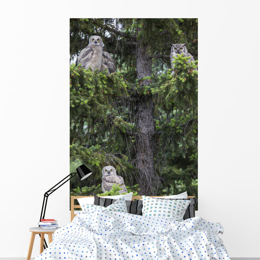 Family Great Horned Owls Wall Decal Design 2